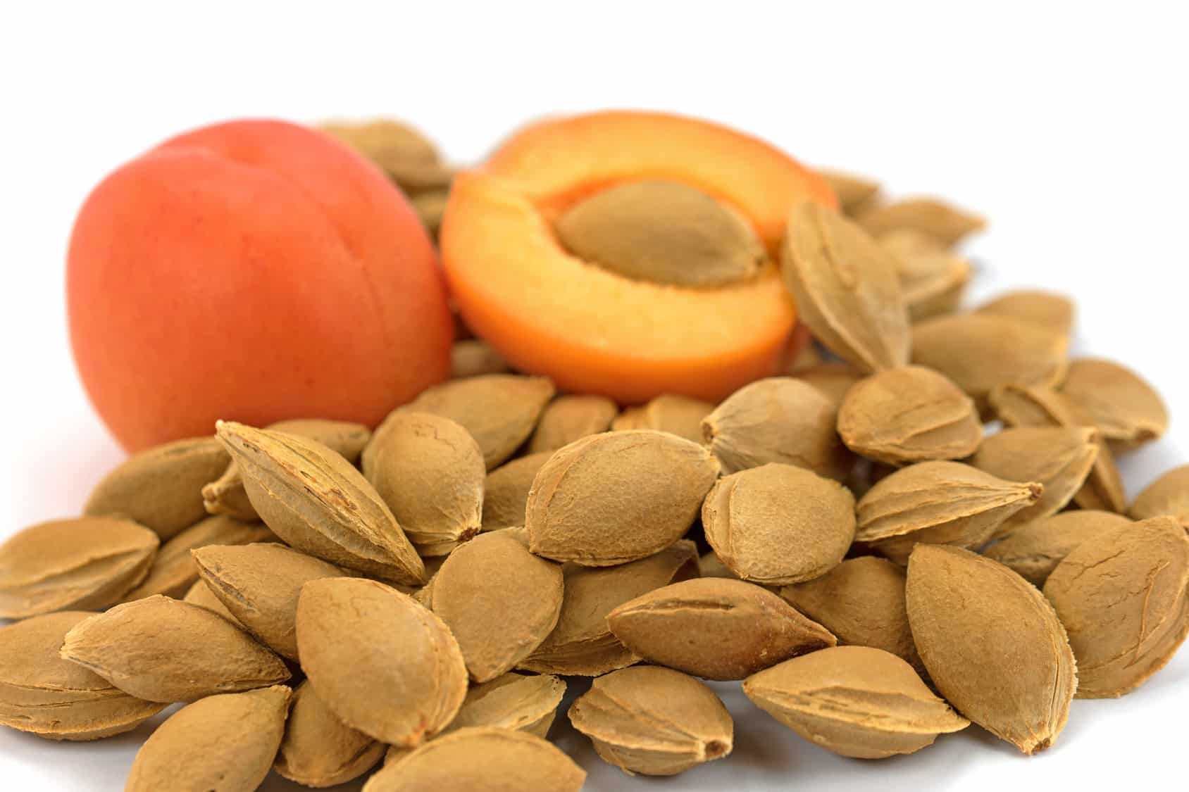 Prunus Armeniaca (Apricot) Kernel Oil in skincare